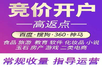 搜索开户返点揭秘：成功案例分享